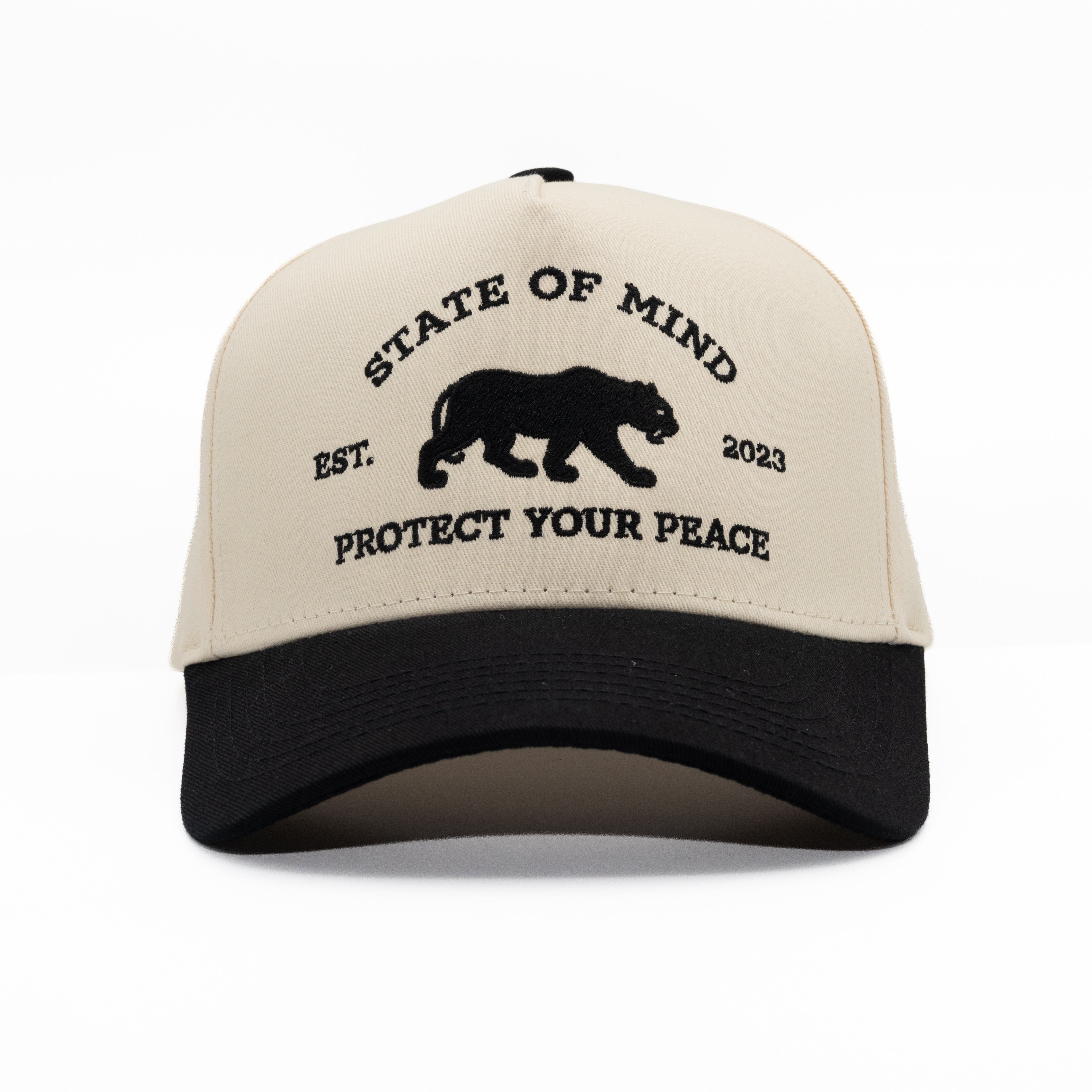 Protect Your Peace Cap